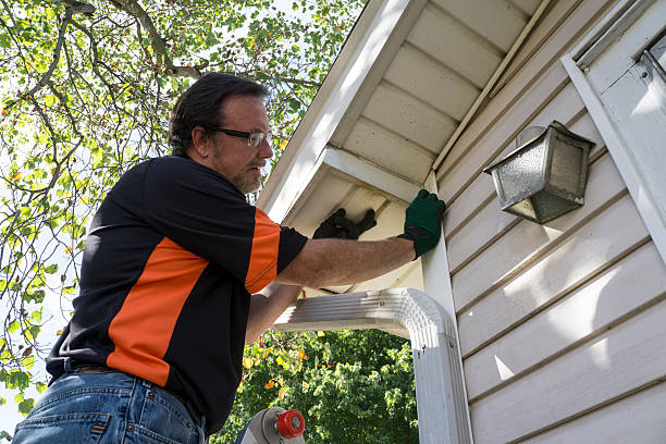 Best Steel Siding Installation  in Martin, SD